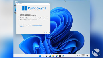 A Windows 11 screenshot showing the version of the OS