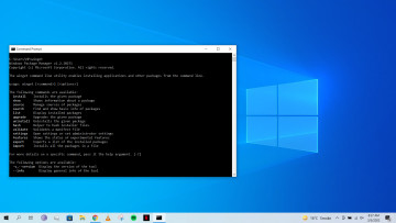 Winget running in Windows Command Prompt