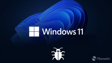 Windows 11 logo with a bug