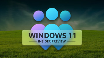 A big Windows Insider logo with Windows 11 Insider Preview on it