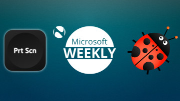 Microsoft Weekly graphic with Prt Scn key on the left and a ladybug on the right